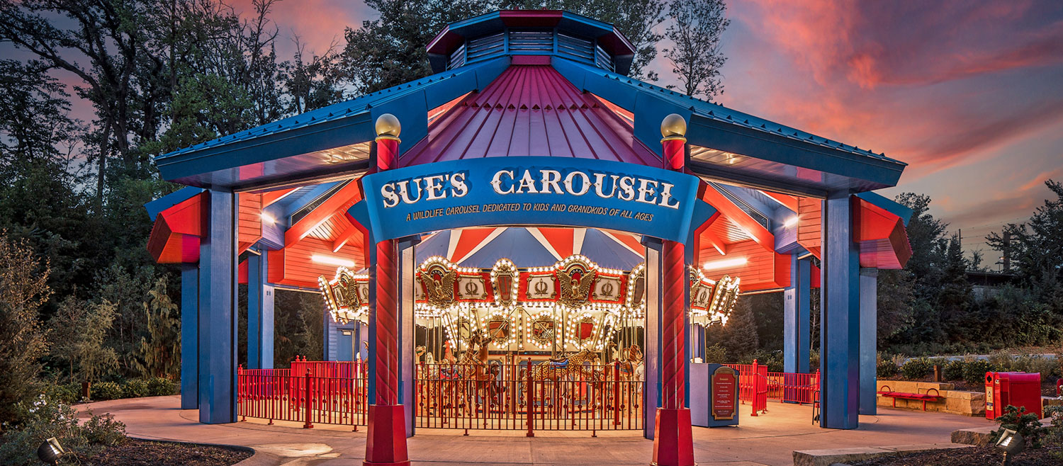 Sue's Carousel