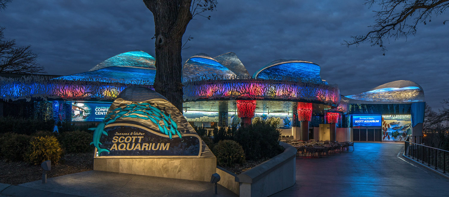 Morrissey Engineering was retained to provide the lighting design for facade renovation of the Scott Aquarium.